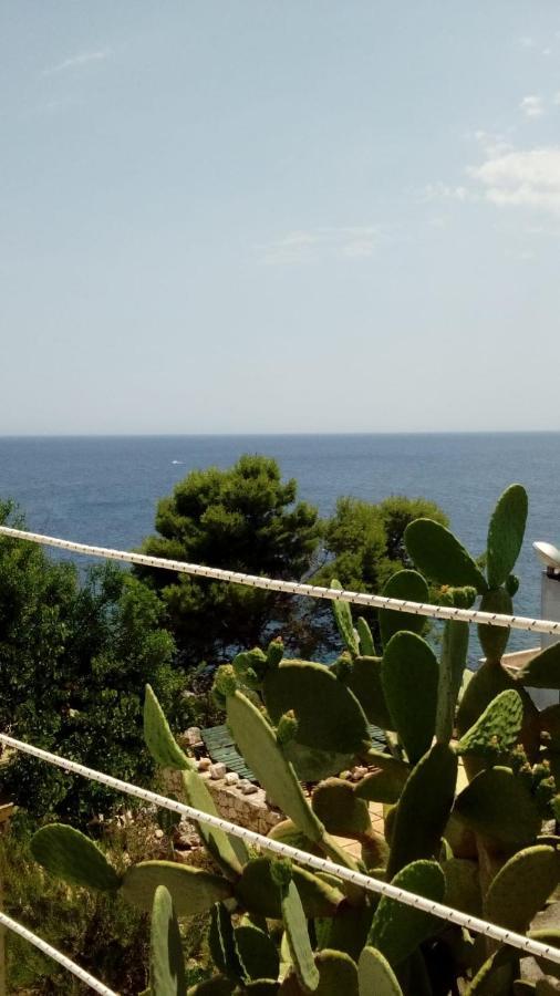 Marina Villa Marittima Dış mekan fotoğraf